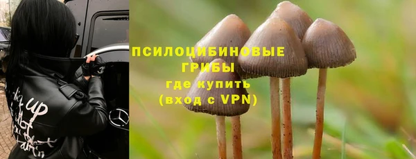 хмурый Армянск