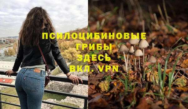 хмурый Армянск